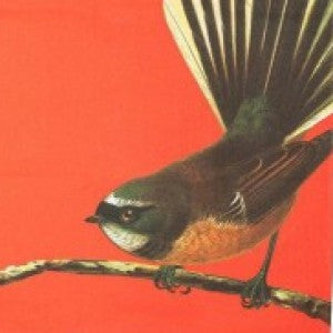 Tea Towel - Birds of New Zealand